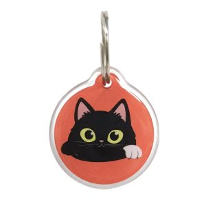 Cartoon Cat Acrylic Pet Tag
